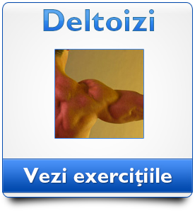 deltoizi