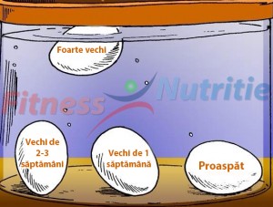 interpretare-vechime-ou