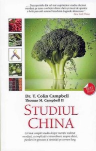 studiul-china