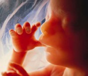 Drumul obezităţii I: femeia gravidă şi fetusul